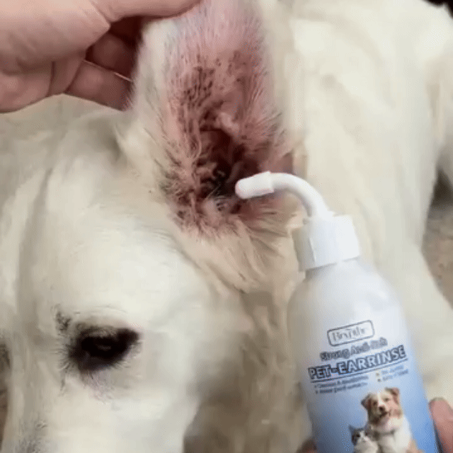 up Anti-Itch Ear Cleaner for Dogs & Cats