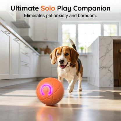 🔥Smart Auto-Bouncing Dog Ball 🐾Keeps Your Dog Moving, Chasing And Engaged—Even When You’re Busy