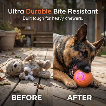 🔥Smart Auto-Bouncing Dog Ball 🐾Keeps Your Dog Moving, Chasing And Engaged—Even When You’re Busy