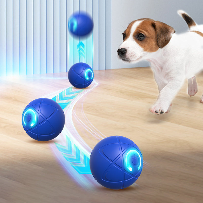 🔥Smart Auto-Bouncing Dog Ball 🐾Keeps Your Dog Moving, Chasing And Engaged—Even When You’re Busy