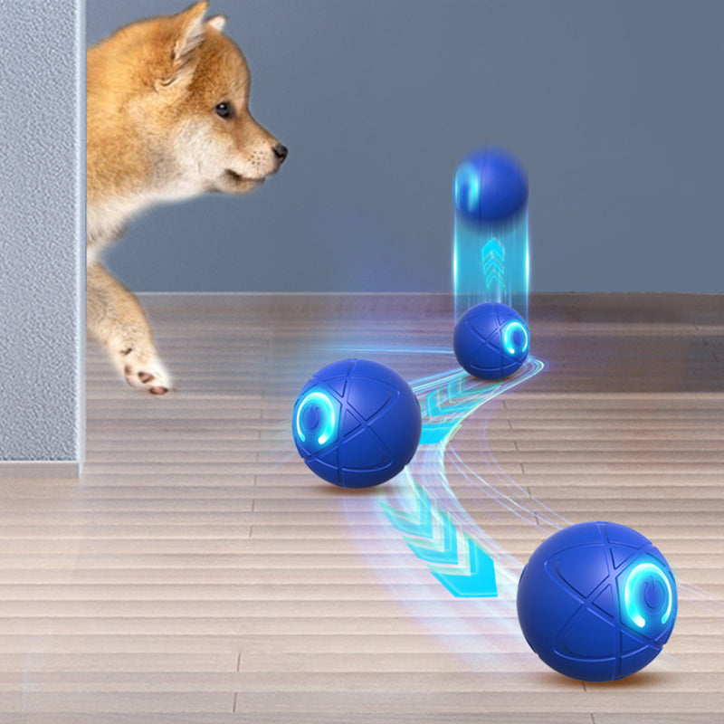 🔥Smart Auto-Bouncing Dog Ball 🐾Keeps Your Dog Moving, Chasing And Engaged—Even When You’re Busy