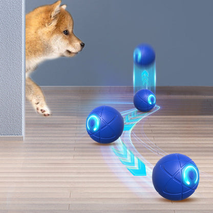 🔥Smart Auto-Bouncing Dog Ball 🐾Keeps Your Dog Moving, Chasing And Engaged—Even When You’re Busy