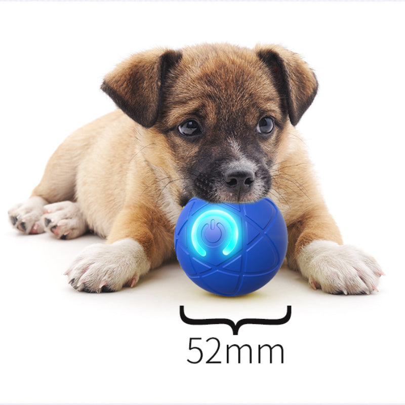 🔥Smart Auto-Bouncing Dog Ball 🐾Keeps Your Dog Moving, Chasing And Engaged—Even When You’re Busy
