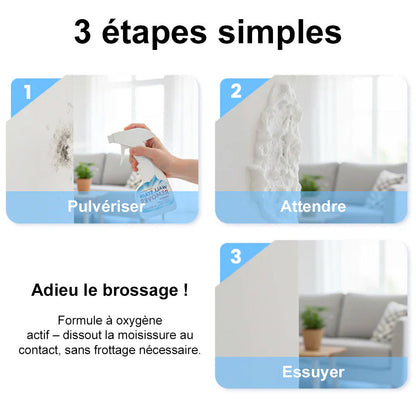 🆙Highly Effective Mold & Mildew Remover Spray