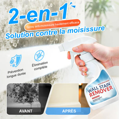 🆙Highly Effective Mold & Mildew Remover Spray