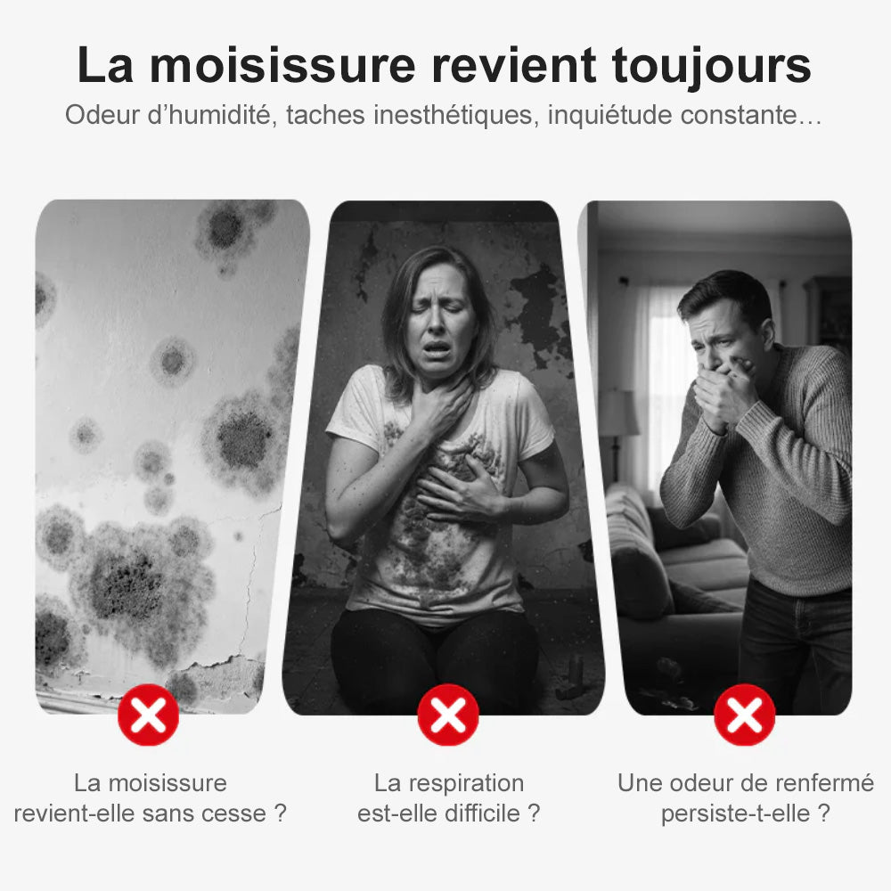 🆙Highly Effective Mold & Mildew Remover Spray