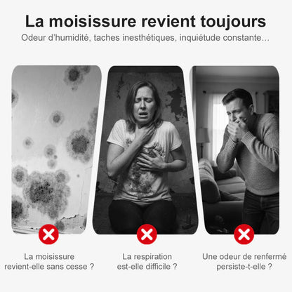 🆙Highly Effective Mold & Mildew Remover Spray