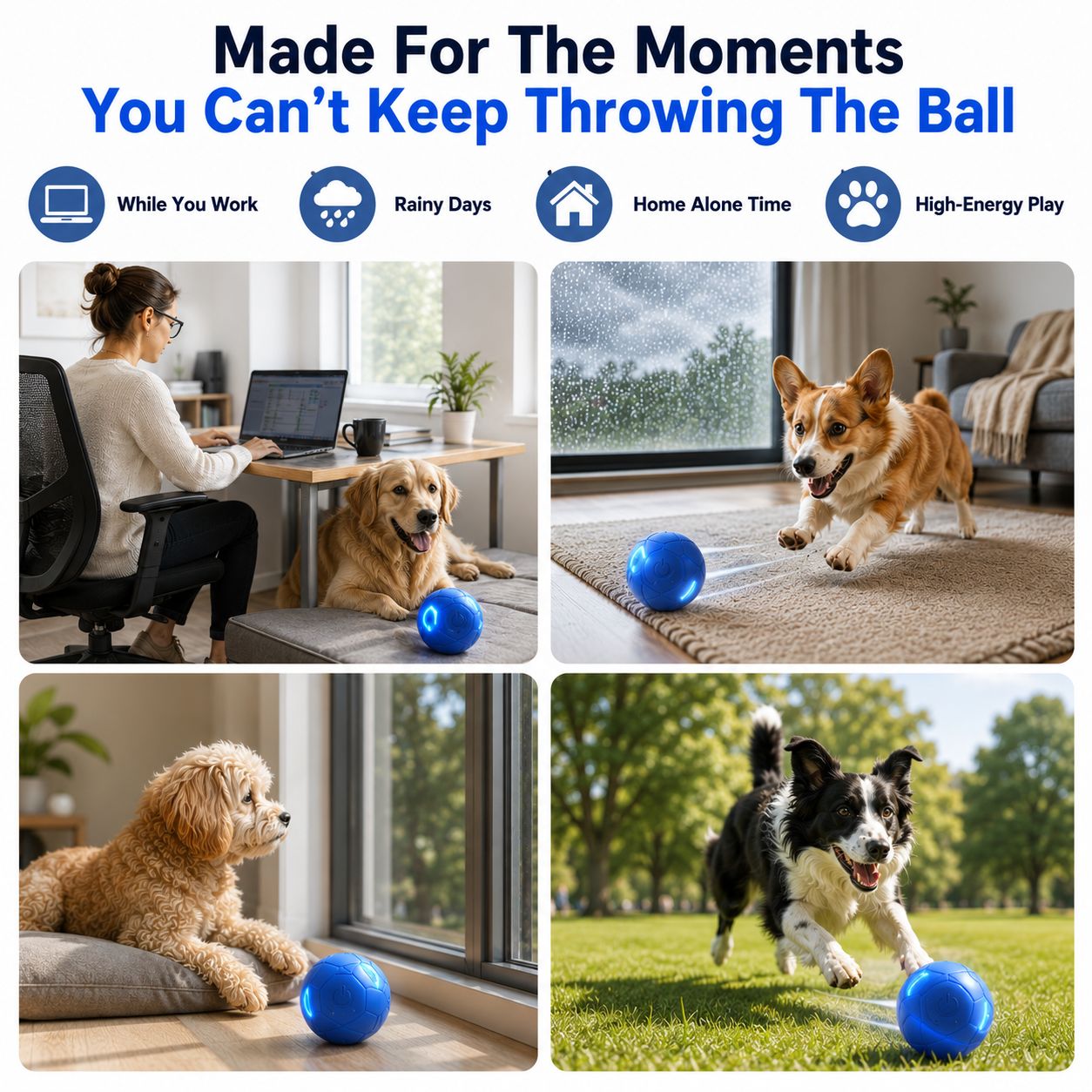up🔥Smart Auto-Bouncing Dog Ball 🐾Keeps Your Dog Moving, Chasing And Engaged—Even When You’re Busy