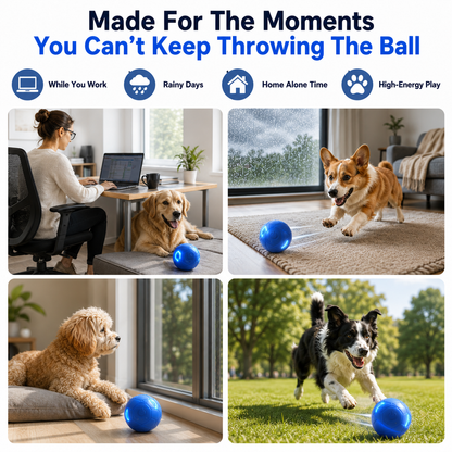 up🔥Smart Auto-Bouncing Dog Ball 🐾Keeps Your Dog Moving, Chasing And Engaged—Even When You’re Busy